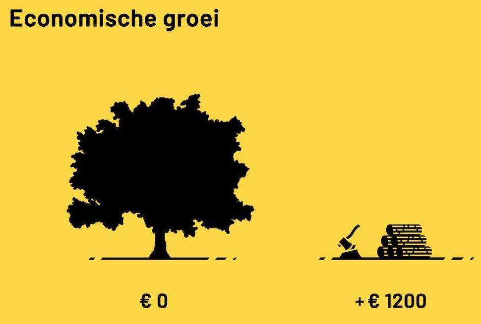Economische groei met bomen JvZ